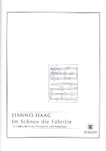 Vorderes Coverbild Im Schnee die Fähr(t)e für Viola,