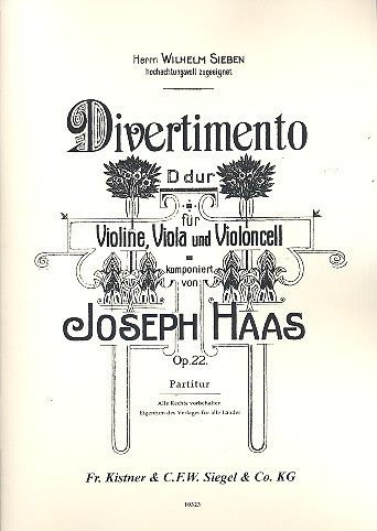 Vorderes Coverbild Divertimento D-Dur op.22