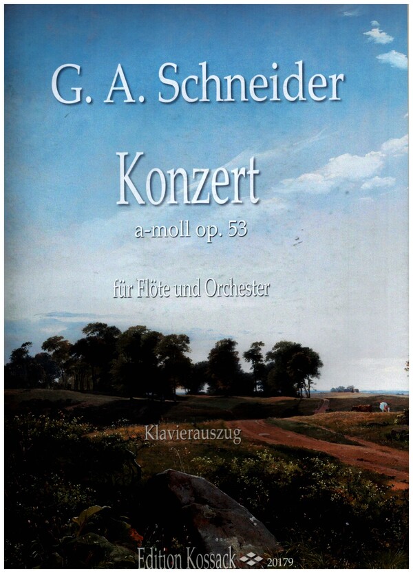 Vorderes Coverbild Konzert a-Moll op.53