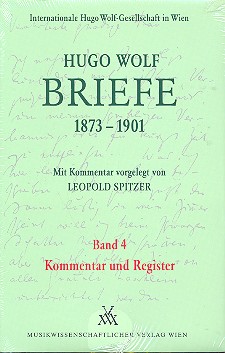 Vorderes Coverbild Briefe Band 4 (1873-1901) Kommentar und Register
