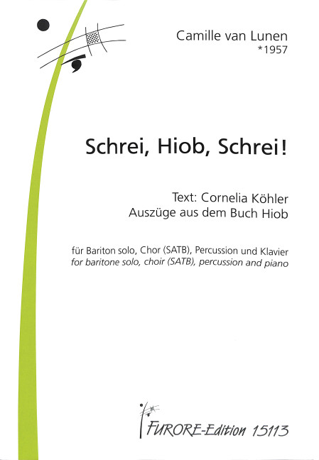 Vorderes Coverbild Schrei, Hiob, Schrei!