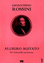 Vorderes Coverbild Allegro agitato