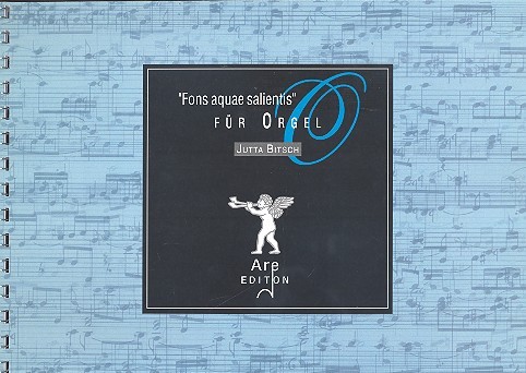Vorderes Coverbild Fons aquae salientis