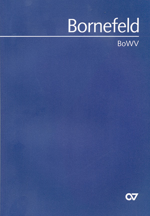 Vorderes Coverbild Helmut Bornefeld Systematisches