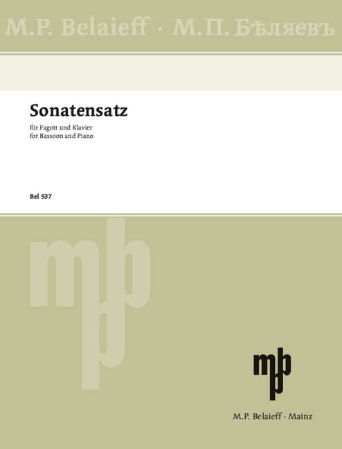 Vorderes Coverbild Sonatensatz