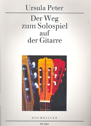 Vorderes Coverbild Der Weg zum Solospiel auf der Gitarre