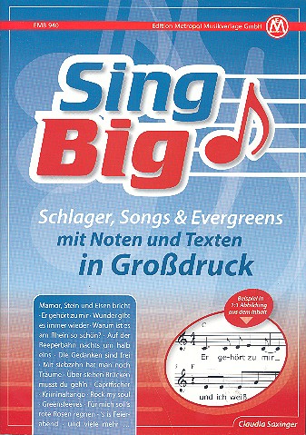 Vorderes Coverbild Sing Big