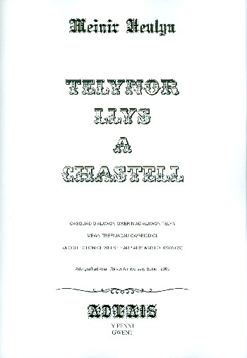 Vorderes Coverbild Telynor llys a Chastell